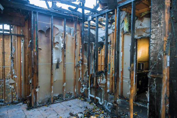 Professional Odor Removal technician working in Princeton, NJ