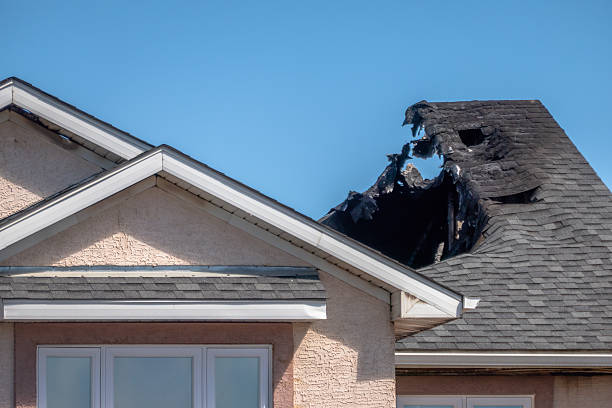 Top rated local Odor Removal specialists in Princeton, NJ